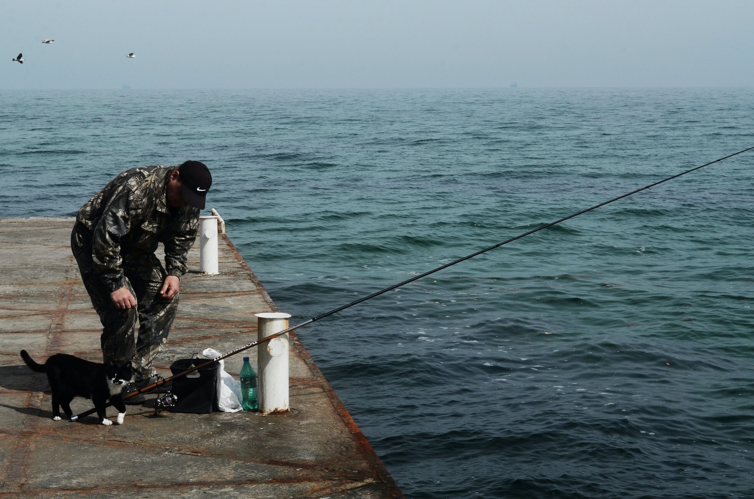 man on dock fishing